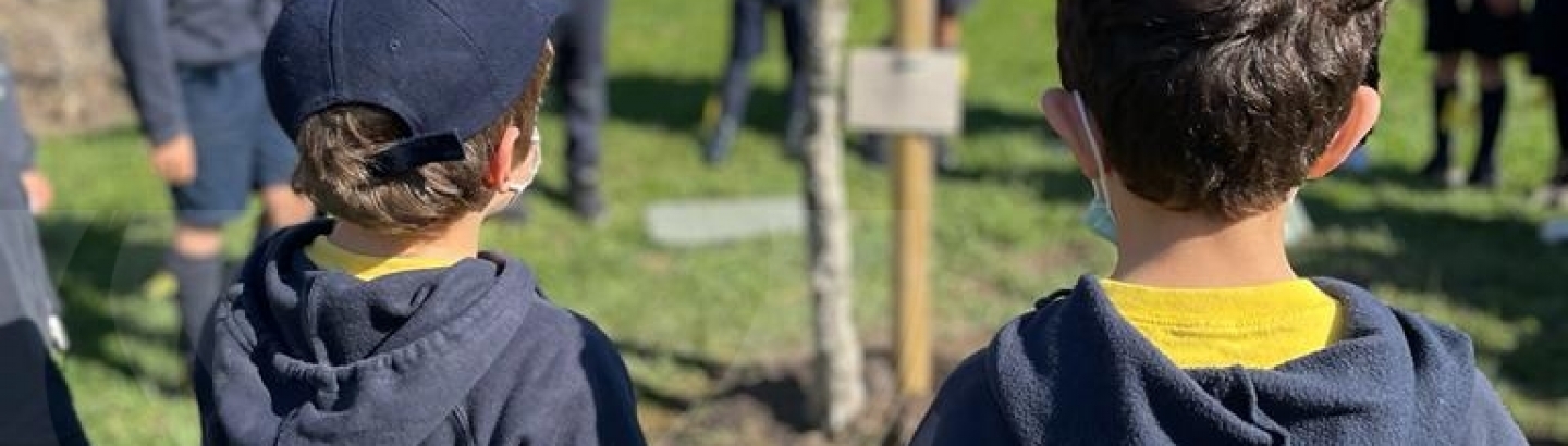 Município da Póvoa de Varzim e Escuteiros juntos na defesa do meio ambiente