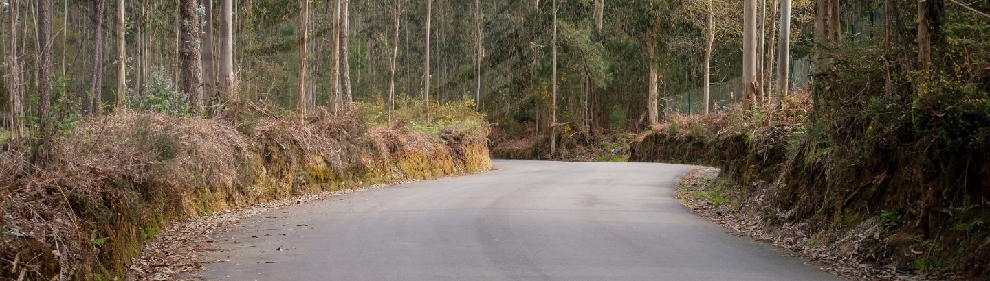 Aprovado Plano Operacional Municipal para combate a incêndios