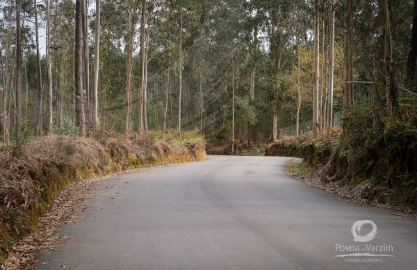 Aprovado Plano Operacional Municipal para combate a incêndios