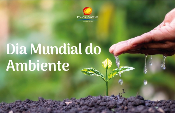 “Campanha Ambiental” poveira concorre a prémio nacional