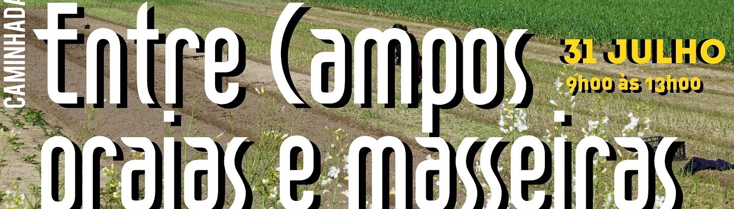 Caminhada “Entre campos, praias e masseiras”: inscrições abertas