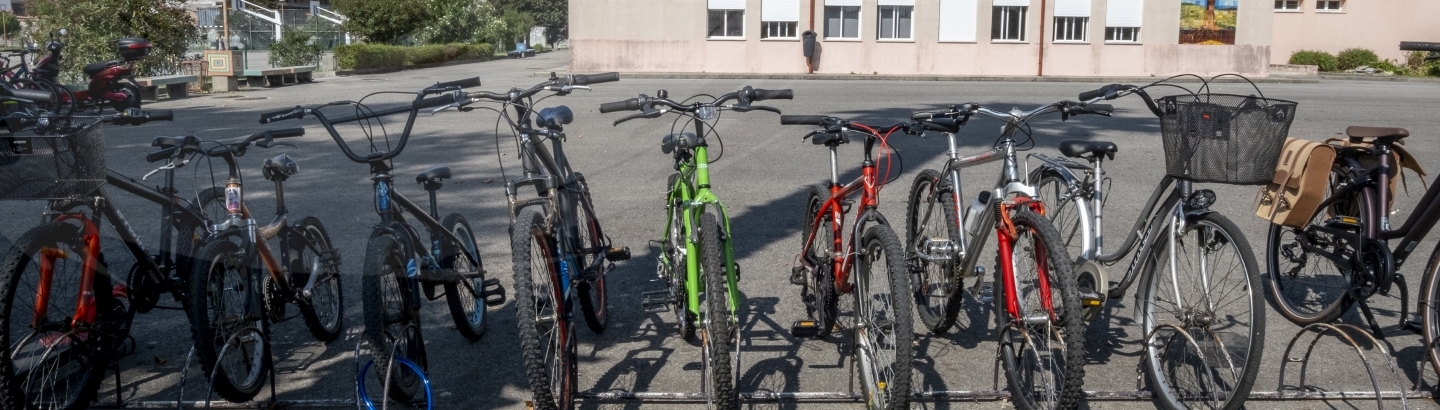 Dia Europeu sem Carros: alunos e professores poveiros foram para a escola de bicicleta