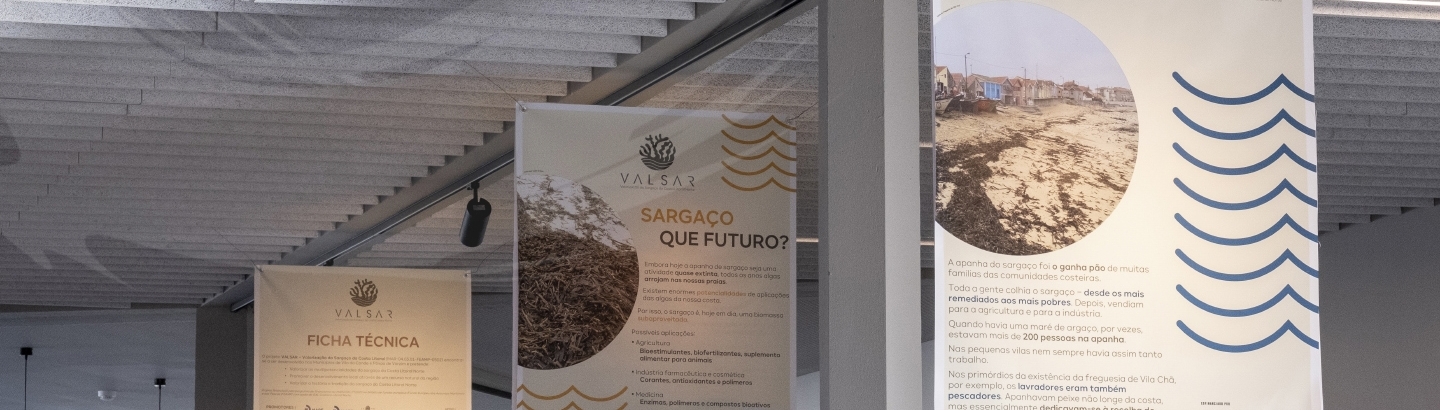Visite a exposição “Sargaço: ontem, hoje e amanhã”