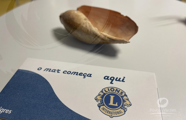 Alunos poveiros aprendem que “O Mar começa aqui...”