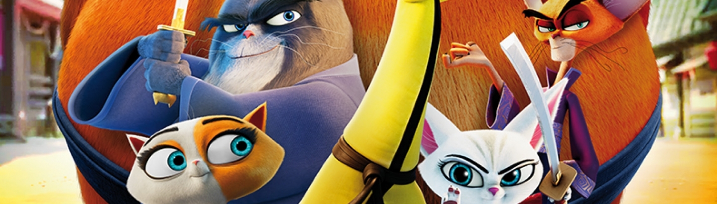 Cinema "Patas em Fúria"