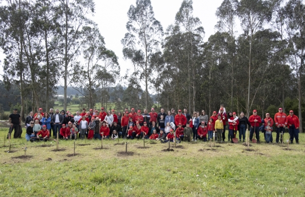 Plantação de árvores pelo futuro do nosso ambiente