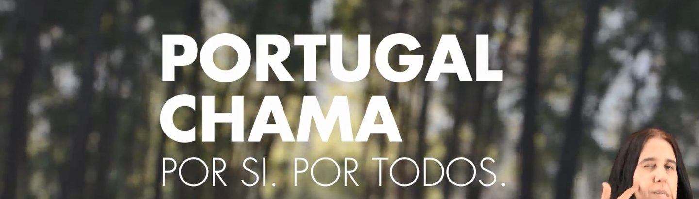 Limpe os seus terrenos até ao final deste mês