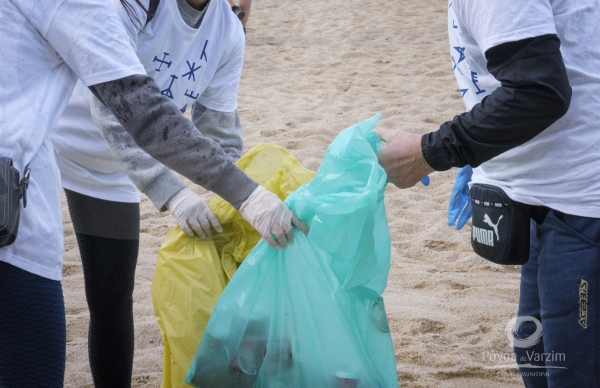 Voluntários poveiros limpam praias do concelho