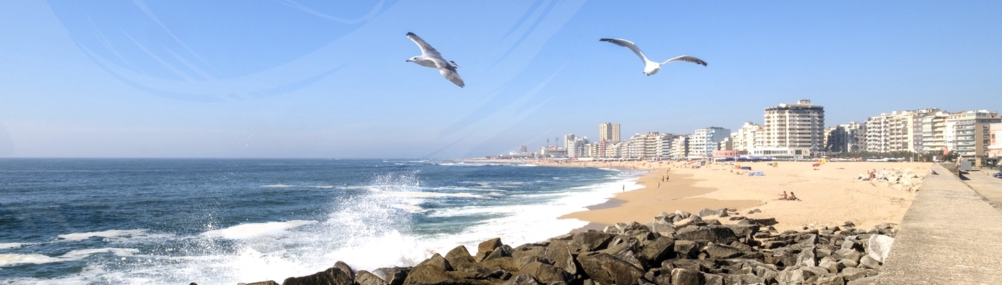 Regulamento de Gestão das Praias Marítimas em discussão pública