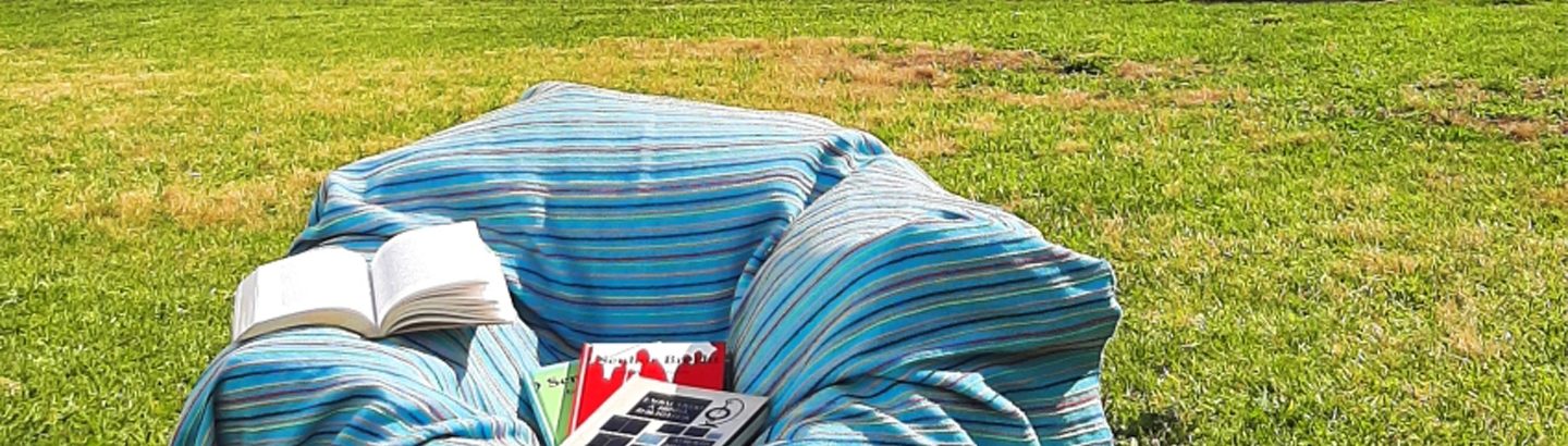 Biblioteca de Jardim abre hoje ao público