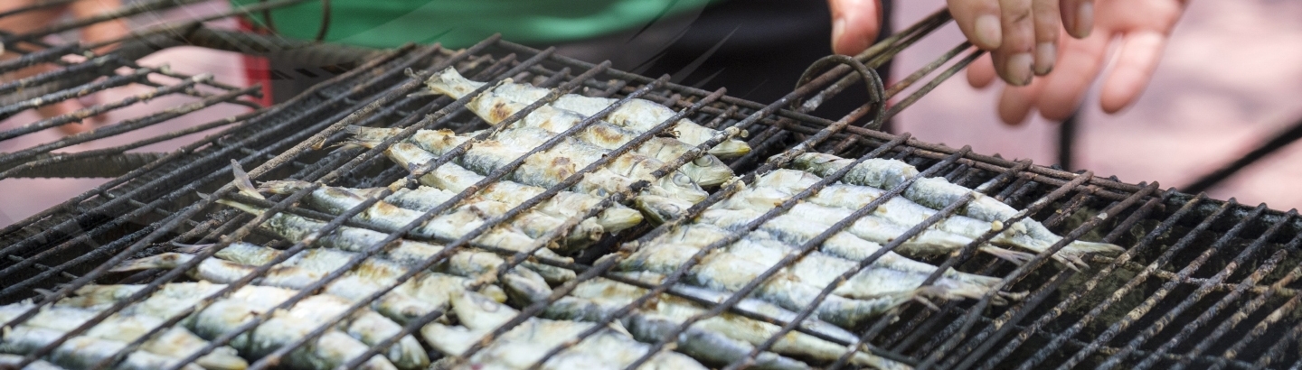 Antes da Noitada, há direito a Sardinhada!