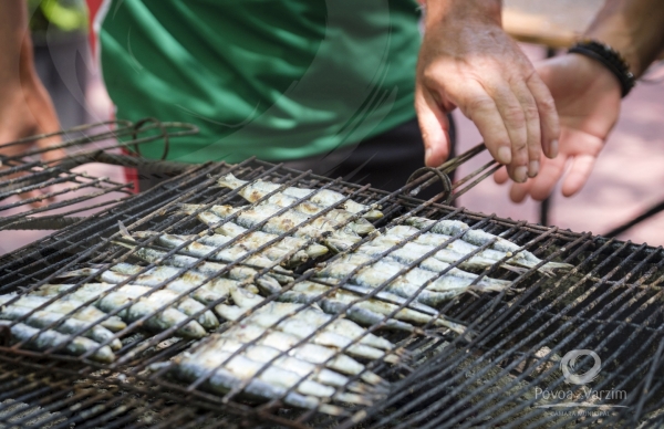 Antes da Noitada, há direito a Sardinhada!