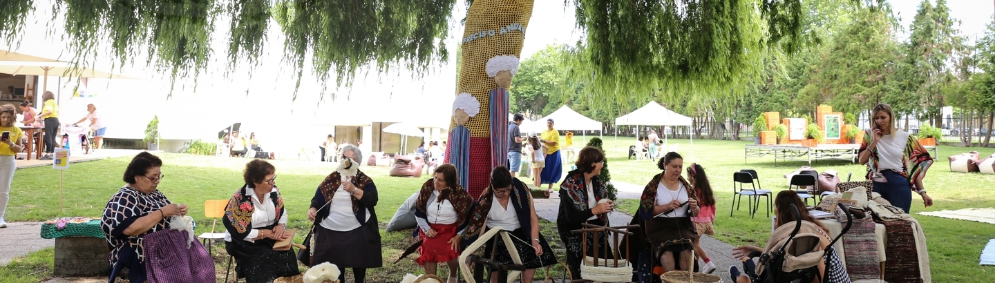 Conversa à volta de agulhas marca 3.ª edição da Lavorada