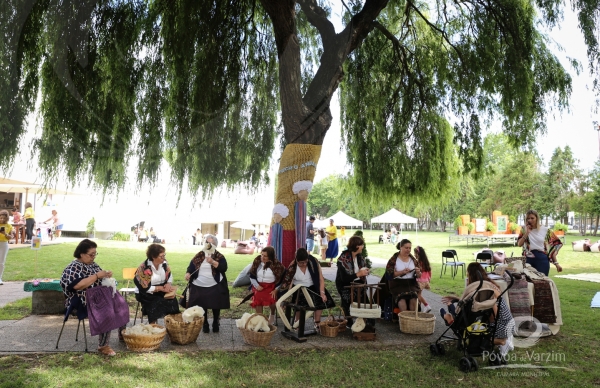 Conversa à volta de agulhas marca 3.ª edição da Lavorada