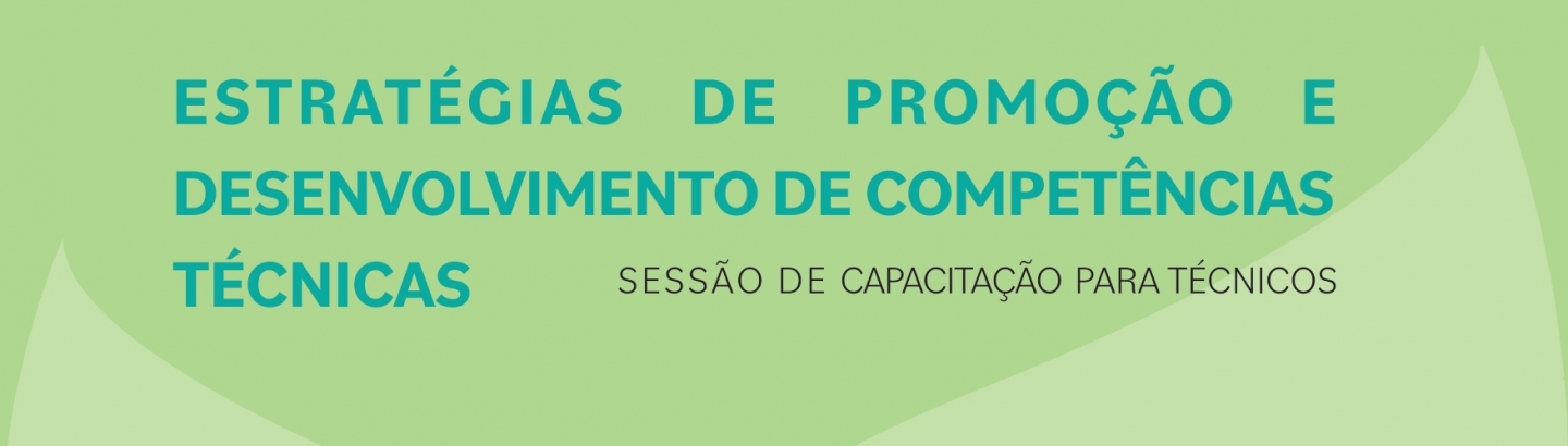 Sessão de Capacitação "Estratégias de promoção e desenvolvimento de competências técnicas"