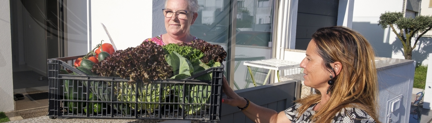 Munícipes recebem cabazes de produtos hortícolas
