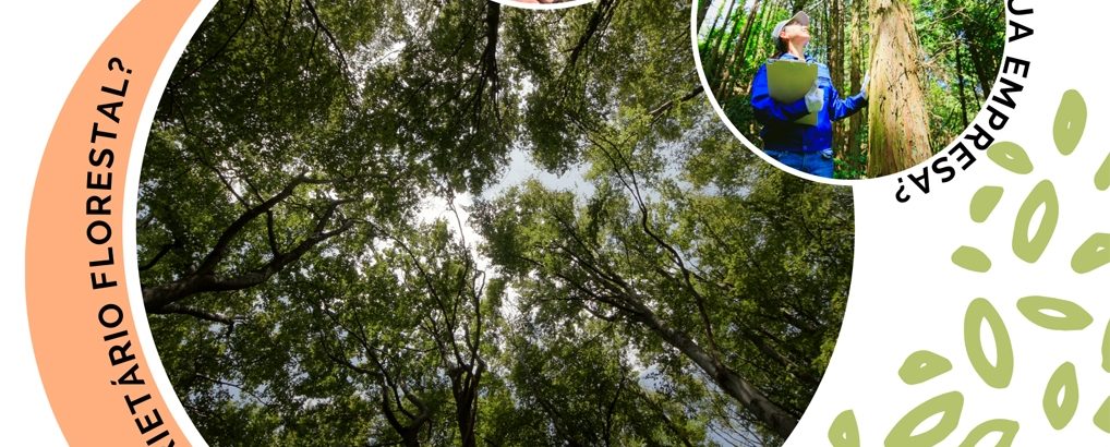 Apresentação "Bosques pelo Clima"
