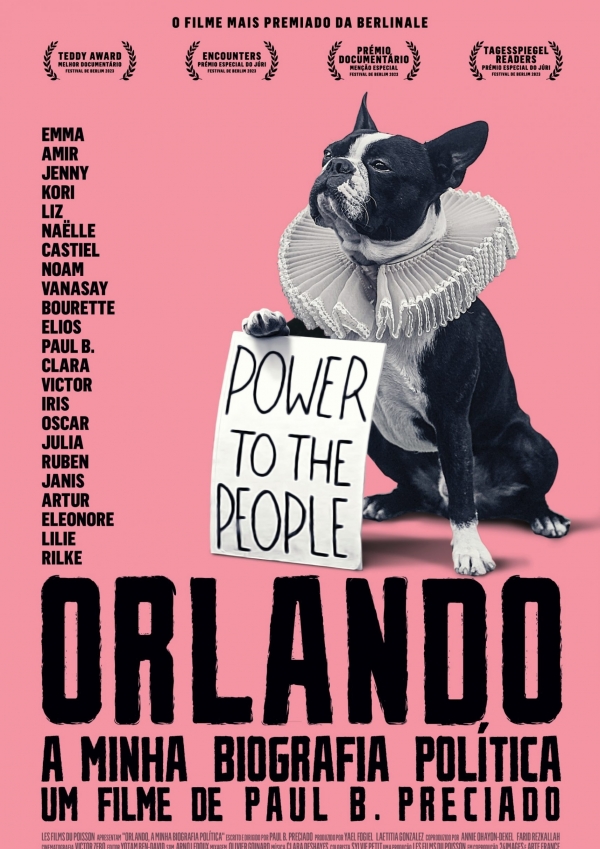 Cinema "Orlando - a minha biografia política"