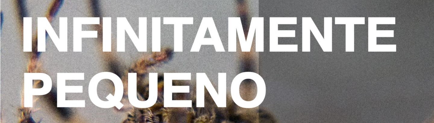 Exposição “Detalhes do infinitamente pequeno”