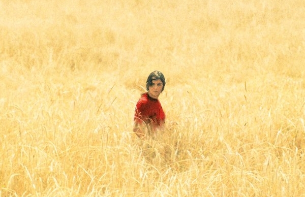 Cinema "O Corno do Centeio"