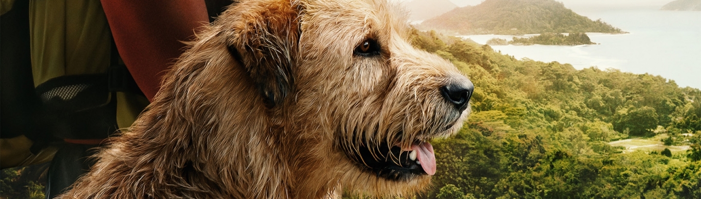 Cinema "Arthur amigo para sempre"