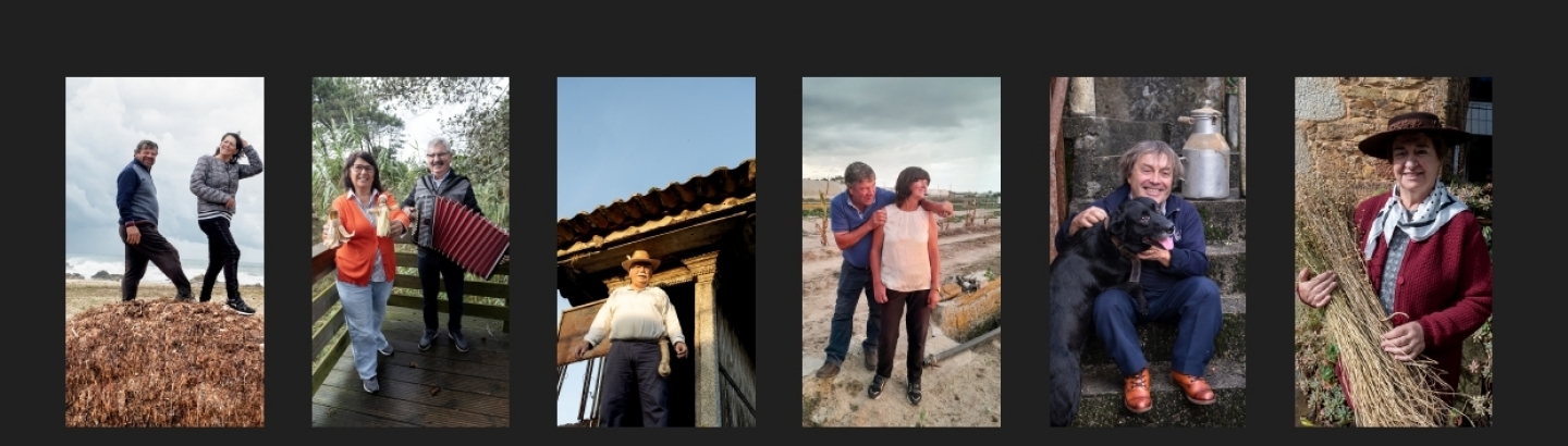 Póvoa: histórias da terra