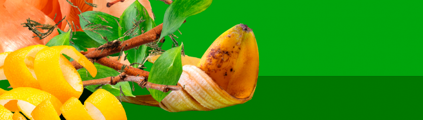 Workshops em compostagem caseira