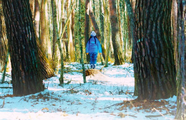 Cinema "O mal não está aqui"