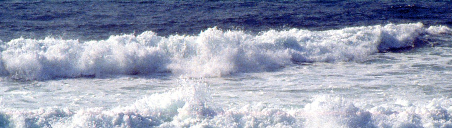 Exposição de fotografia de Rui Faria