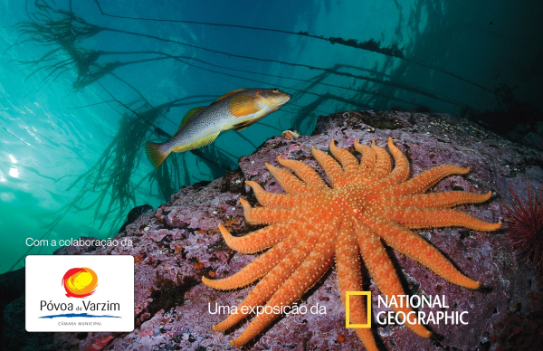 Póvoa de Varzim inaugura exposição com fotografias da National Geographic