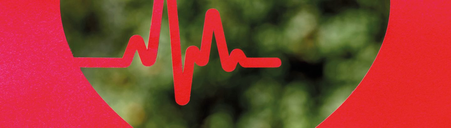 Cuidados a ter para uma vida saudável