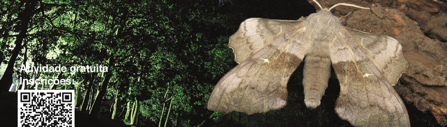ECOS - Passeios à conversa na Natureza: borboletas noturnas