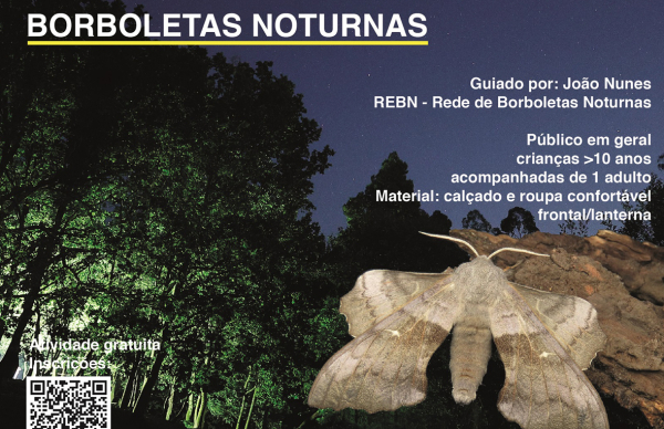 ECOS - Passeios à conversa na Natureza: borboletas noturnas