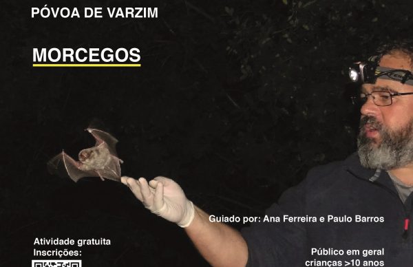 ECOS - Passeios à conversa na Natureza: Morcegos