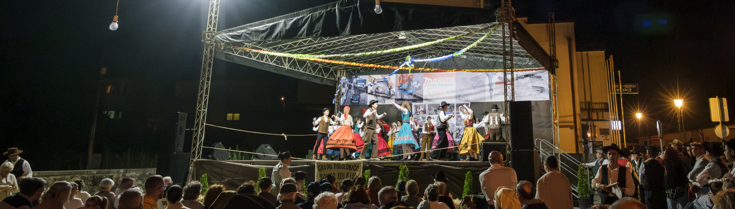 Festival Folclórico animou a freguesia de Beiriz