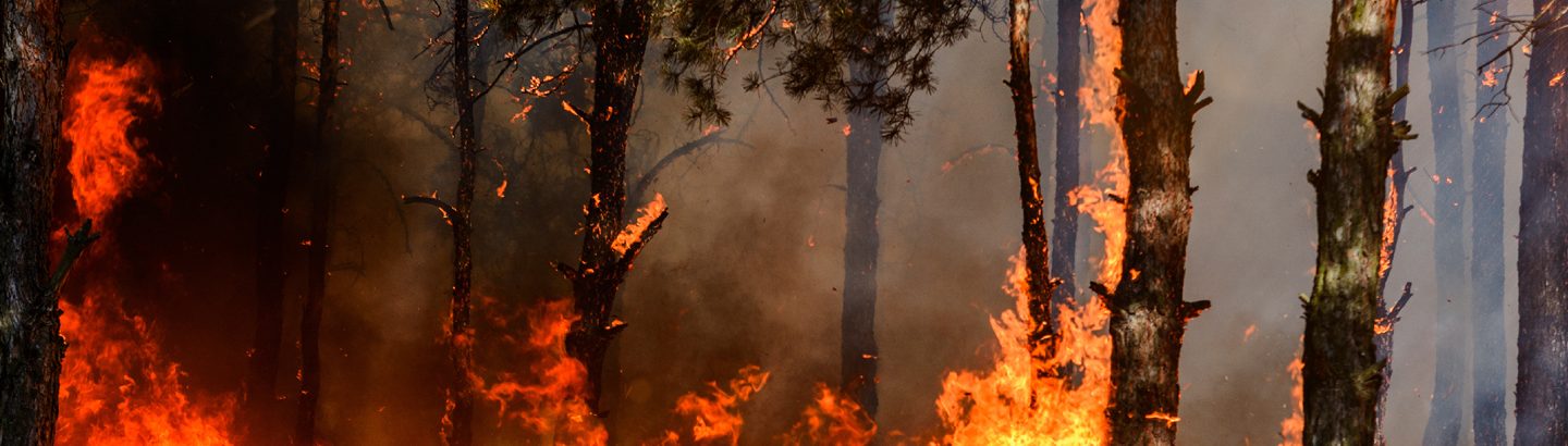 Aviso: Alerta para perigo máximo de incêndio rural