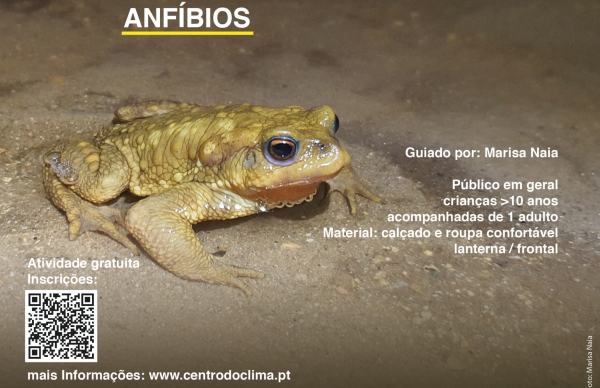 ECOS - Passeios à conversa na Natureza: Anfíbios