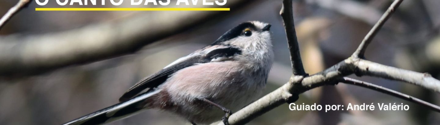 ECOS - Passeios à conversa na Natureza: Aves