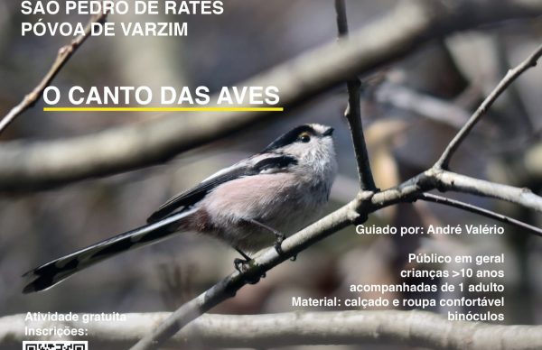 ECOS - Passeios à conversa na Natureza: Aves