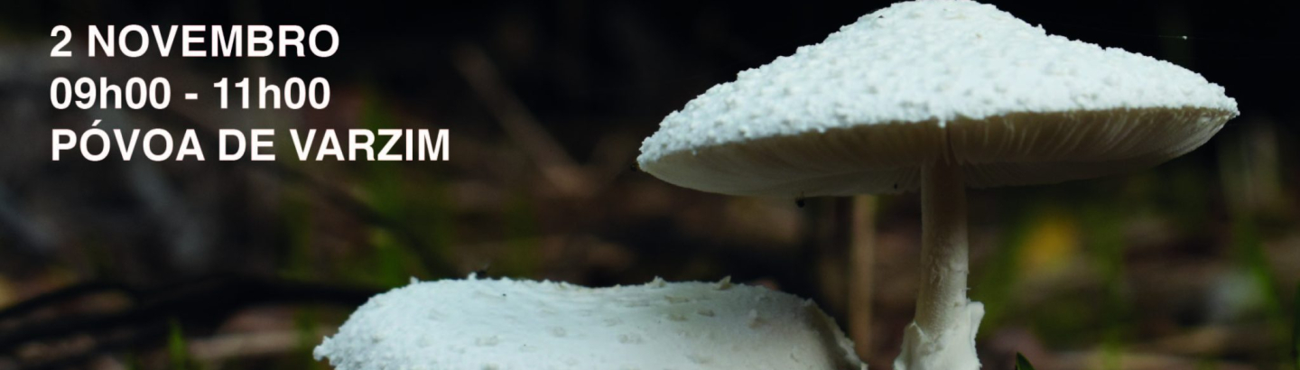 ECOS - Passeios à conversa na Natureza: Cogumelos