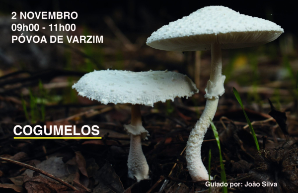 ECOS - Passeios à conversa na Natureza: Cogumelos