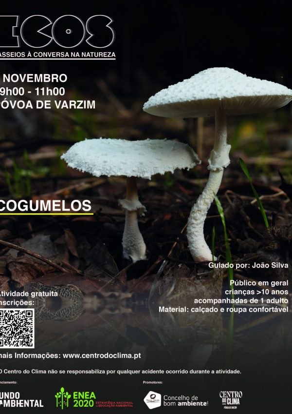 ECOS - Passeios à conversa na Natureza: Cogumelos