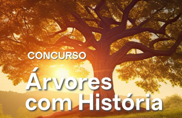 Concurso "Árvores com História" a decorrer até ao final do ano