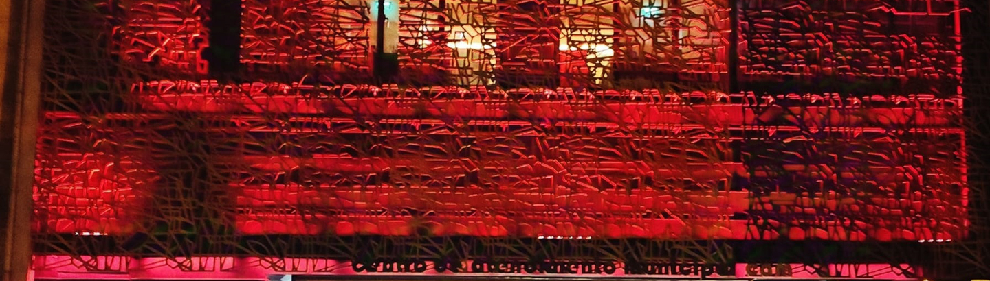 Município assinala Dia Internacional pela Eliminação da Violência contra as Mulheres