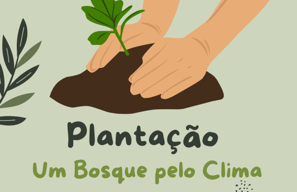 "Um Bosque pelo Clima" convida à plantação de árvores na Póvoa de Varzim