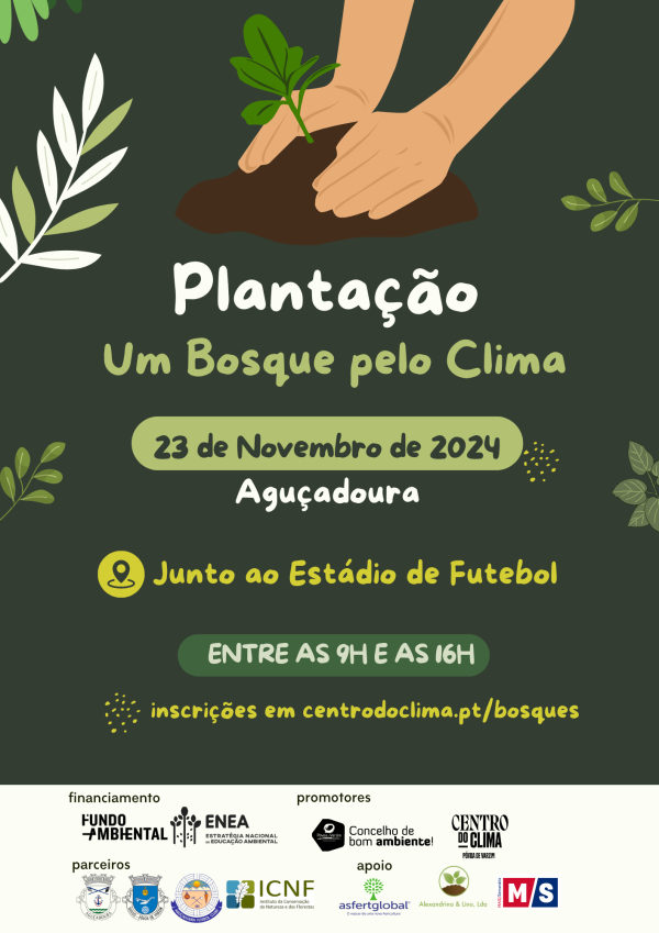 Plantação em Aguçadoura
