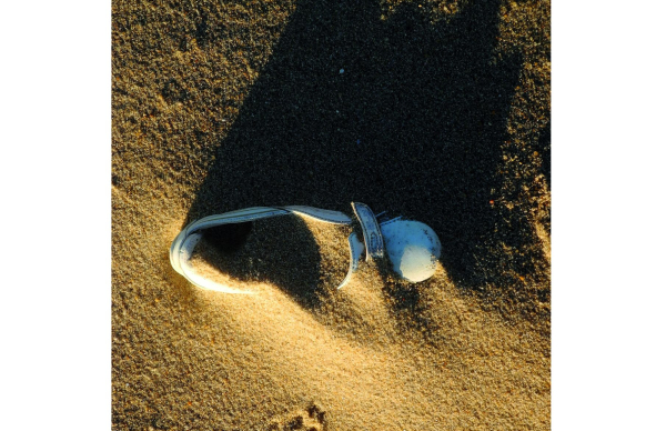 Exposição "Ímpar"