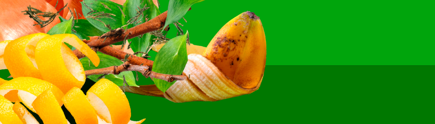 Município e Lipor promovem workshop de compostagem caseira