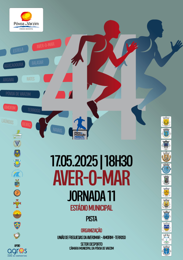 11.ª Jornada PPA: Aver-o-Mar