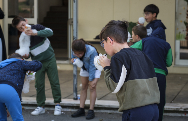 Rota Concelhia de Ação pelo Clima mobiliza alunos em ações de sustentabilidade